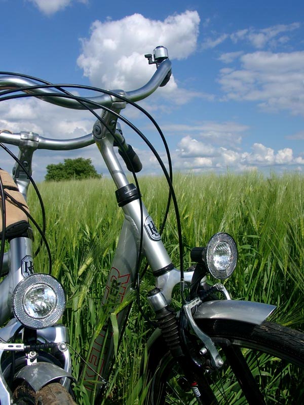 Killikus&reg; Fotographie